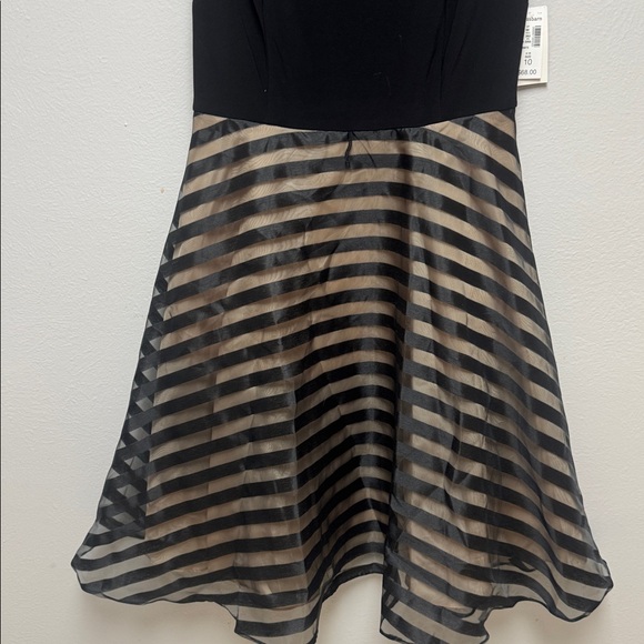Elegant Black and Tan Striped Dress - Picture 5 of 11
